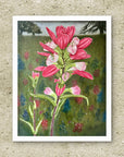 Unframed fine art print of Texas Bloom No. 2, an Indian Paintbrush floral painting by Kris Horton