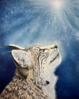 Bobcat looking upwards against a blue sky with sunlight painting by Kris Horton