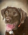 Chocolate lab pet portrait by Kris Horton