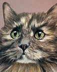 Cat pet portrait by Kris Horton