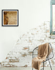 Framed wall art by Kris Horton of an elephants face in sepia hanging on a white brick wall.