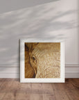 White framed artwork by Kris Horton of a close up of an elephants face leaning against a wall.