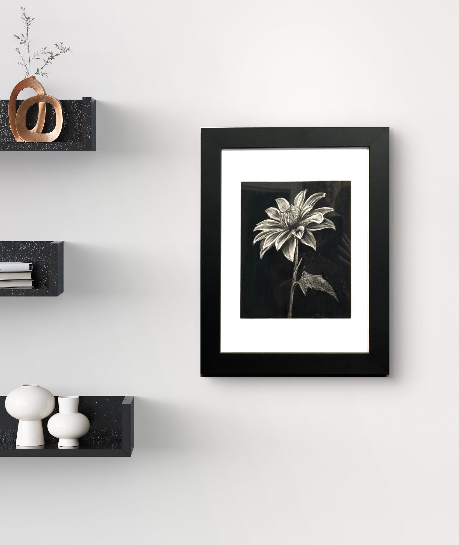 Shadow Bloom by Kris Horton a black and white chrysanthemum drawing with a black background