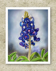 Unframed fine art print of Texas Bloom No. 1, a bluebonnet floral painting by Kris Horton