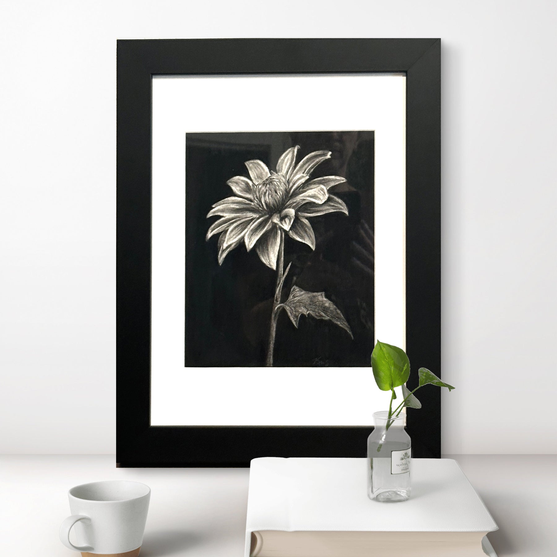chrysanthemum drawing by Kris Horton in black and white with a black background