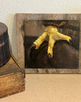 Framed painting of Talon by Kris Horton a close up of a red tail hawks foot.