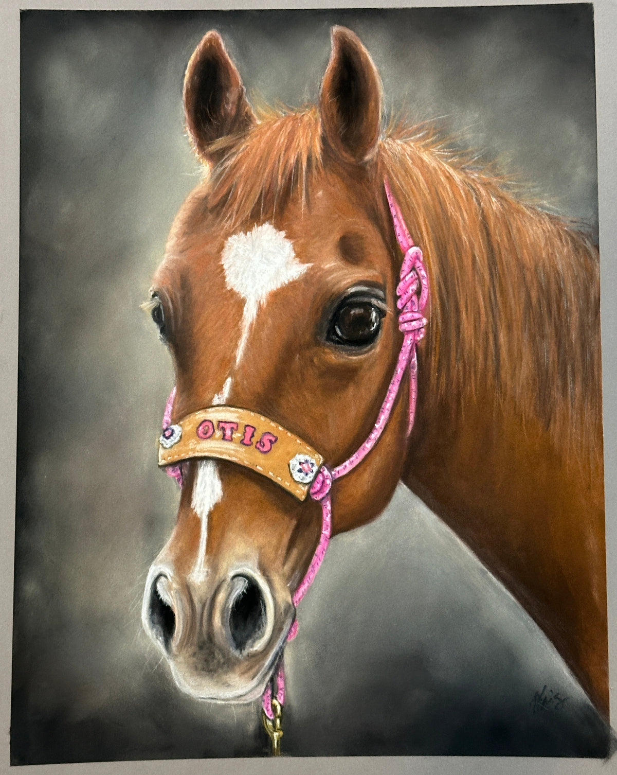 Pastel Horse portrait by Kris Horton
