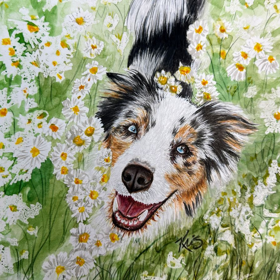 Custom pet portrait by Kris Horton of a dog looking up in a field of daisies.