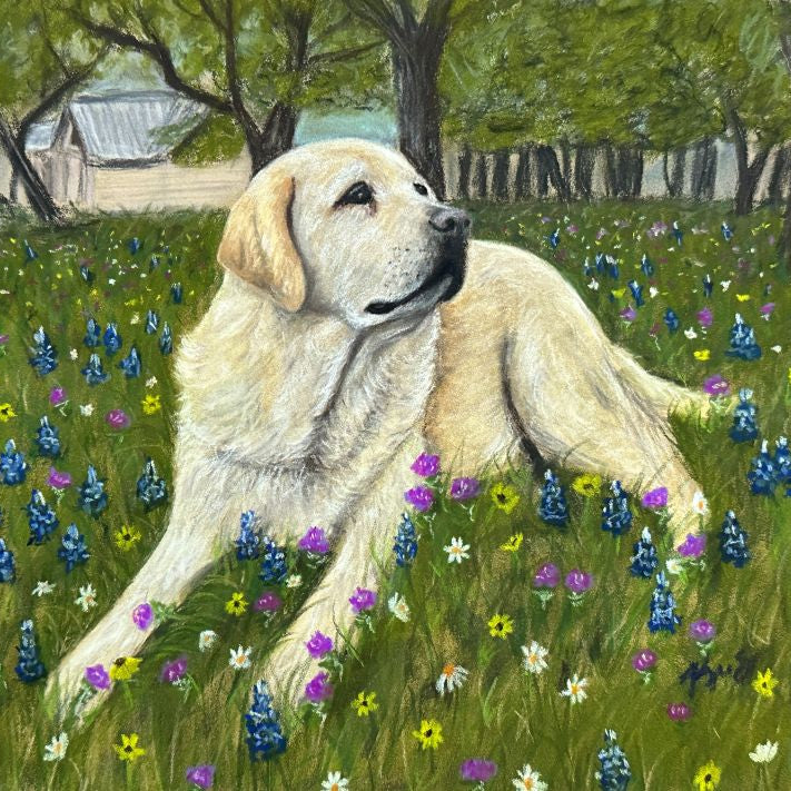 Yellow lab in a field of wildflowers pet portrait by Kris Horton.