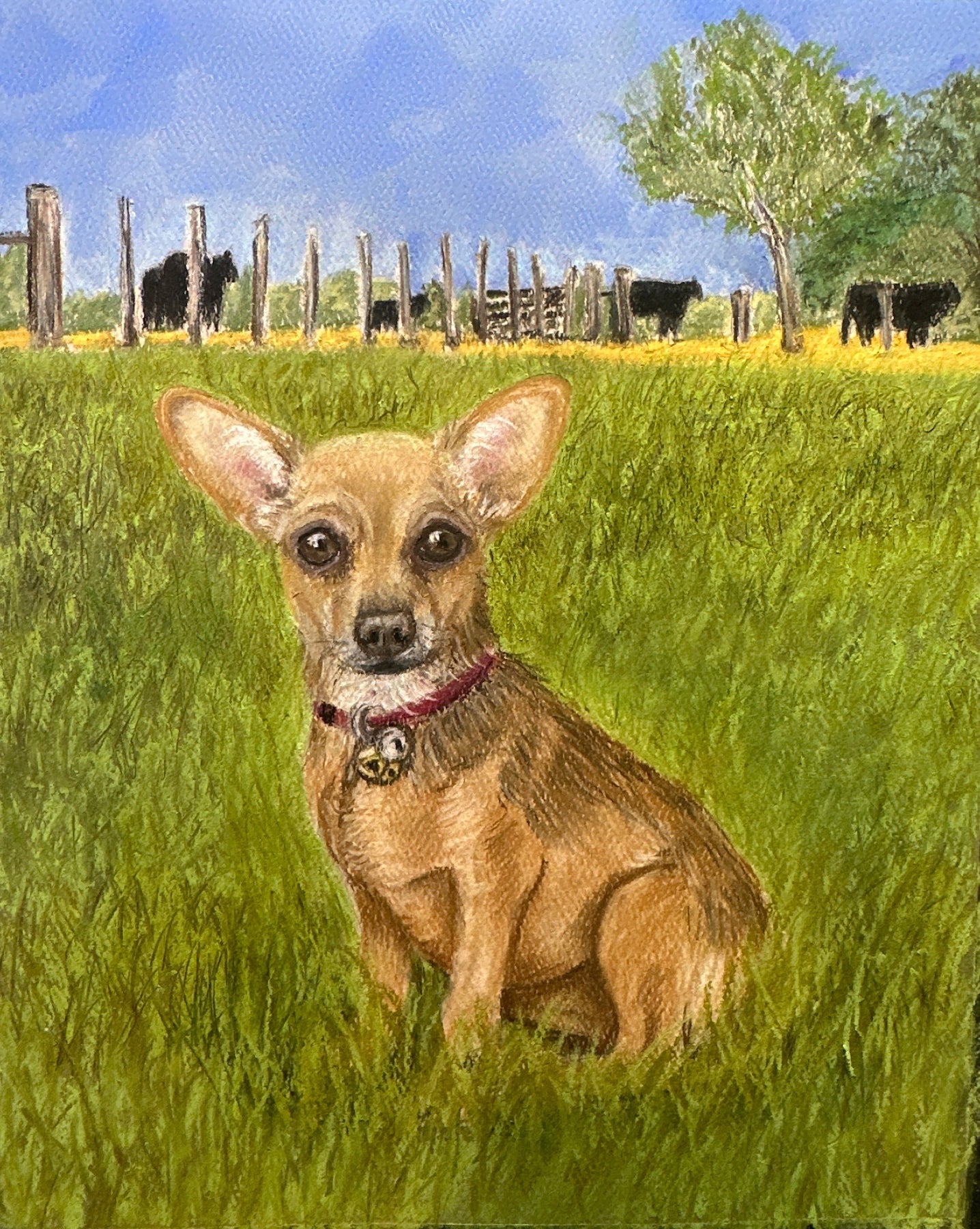 Bailee a pastel pet portrait of a chihuahua by Kris Horton in the grass at her favorite spot with the cows.