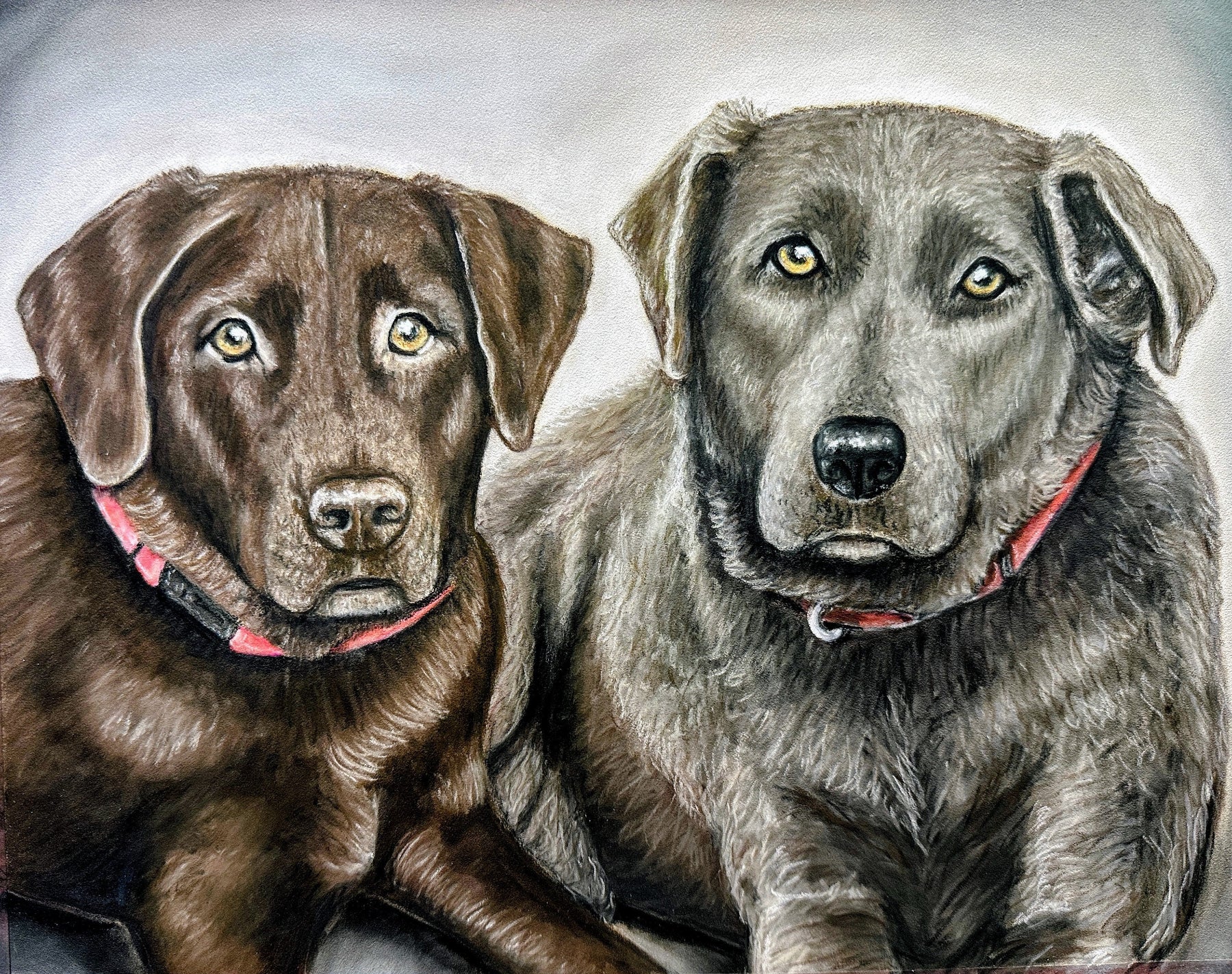 Bella & Sophie lab mixes pastel pet portrait by Kris Horton