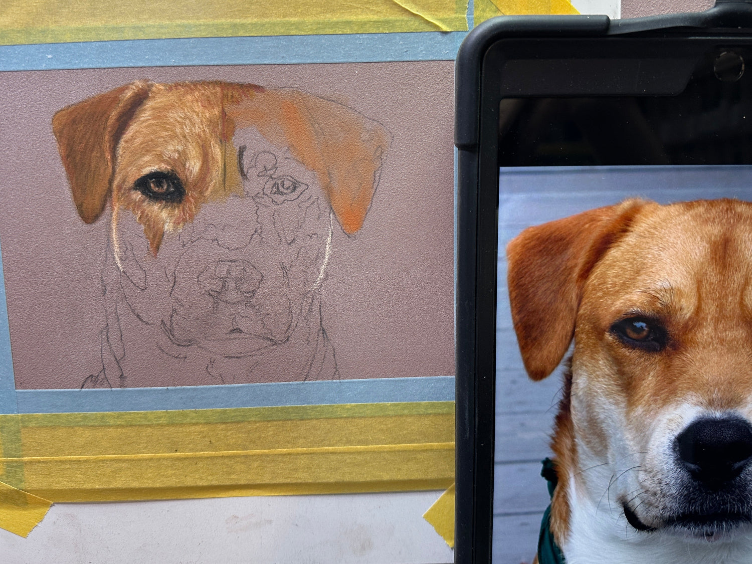 Picture of a pet portrait in progress by Kris Horton, next to the reference photo of the dog.