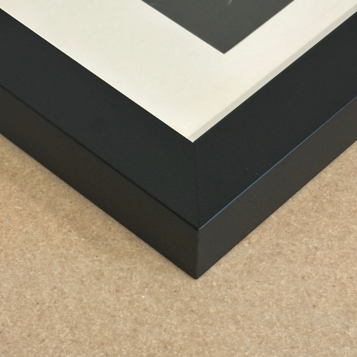 Close up detail of black frame around the original art Shadow Bloom by Kris Horton