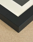 Close up detail of black frame around the original art Shadow Bloom by Kris Horton