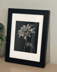 Framed Shadow Bloom original drawing by Kris Horton