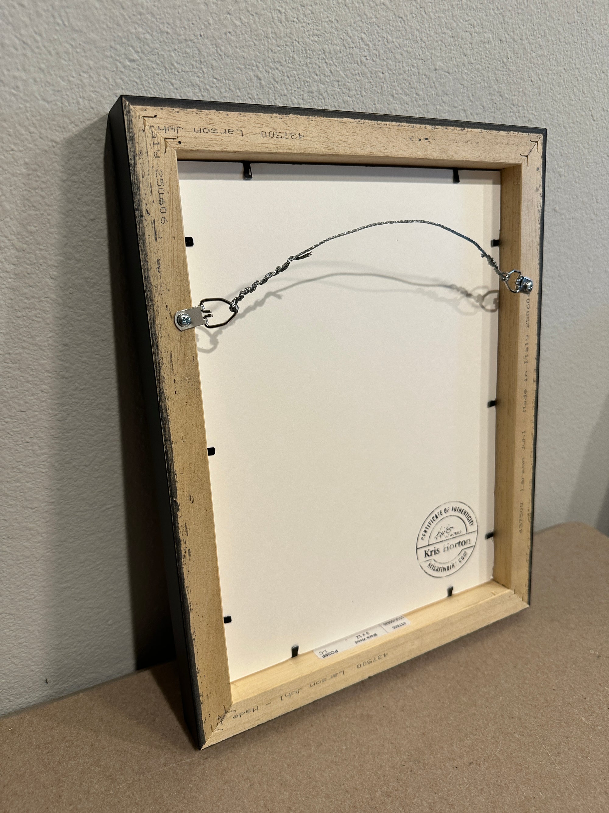 The back of the framed drawing of Shadow Bloom by Kris Horton showing the wooden frame and the wire hanger.