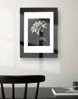 Framed Shadow Bloom a black and white floral drawing by Kris Horton