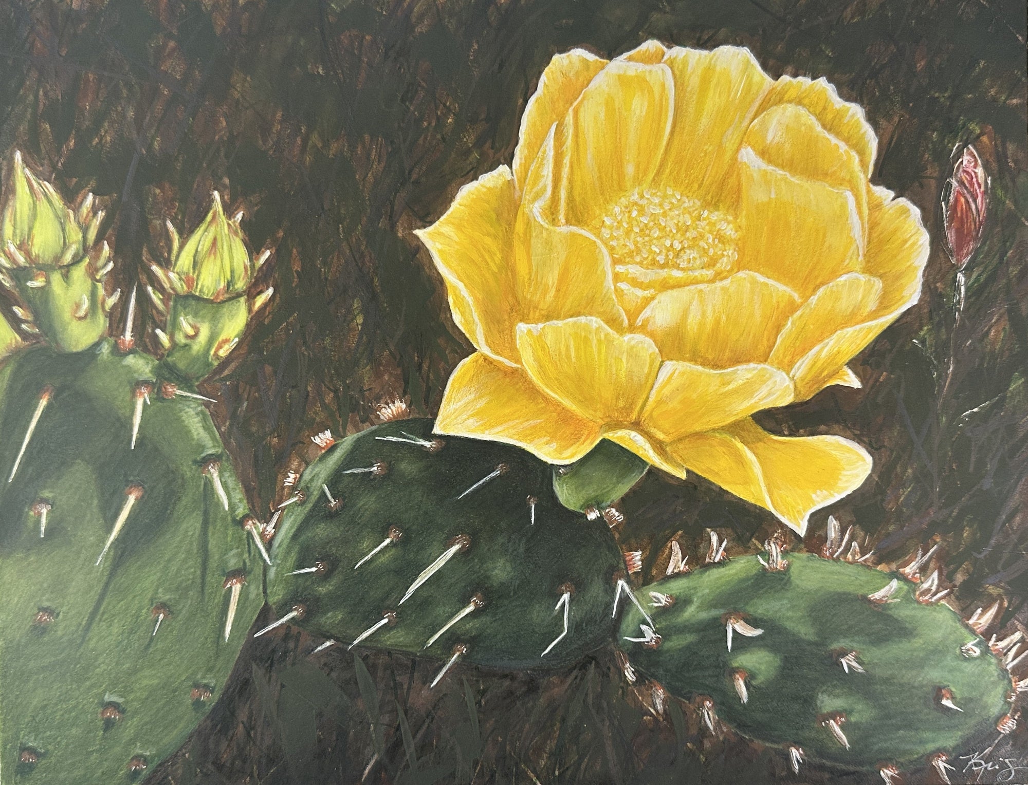 Yellow cactus flower with green cactus pads on a dark background painting by Kris Horton