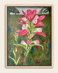 Framed painting of an Indian Paintbrush flower by Kris Horton.