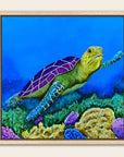 Framed artwork of a turtle swimming over coral with a blue background by Kris Horton.