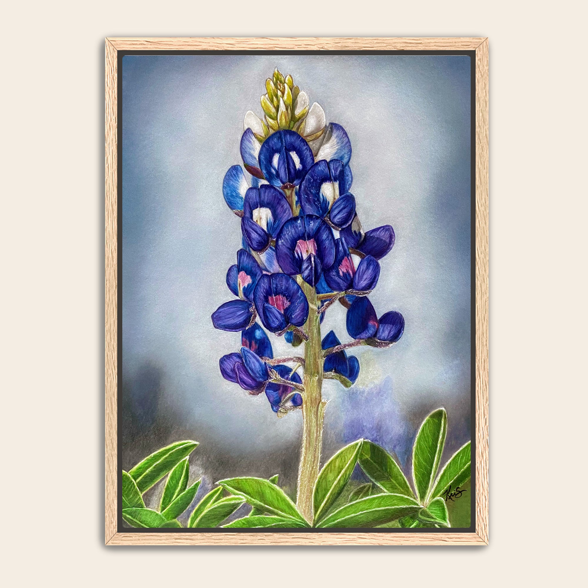 Framed artwork of a bluebonnet flower.