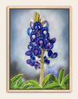 Framed artwork of a bluebonnet flower by Kris Horton.