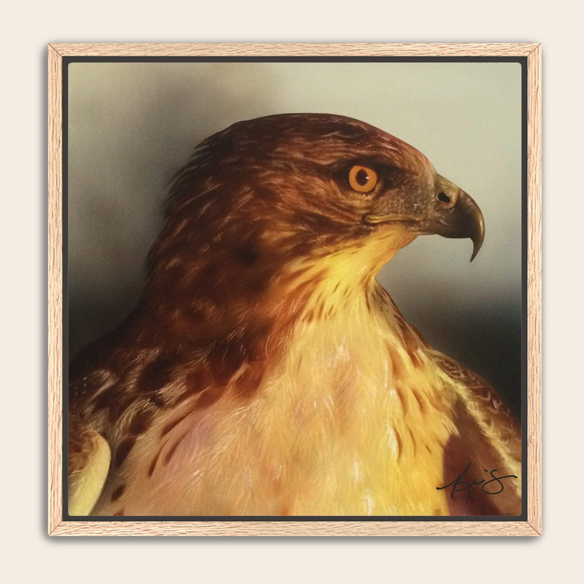 Framed painting of a detailed hawk a neutral background