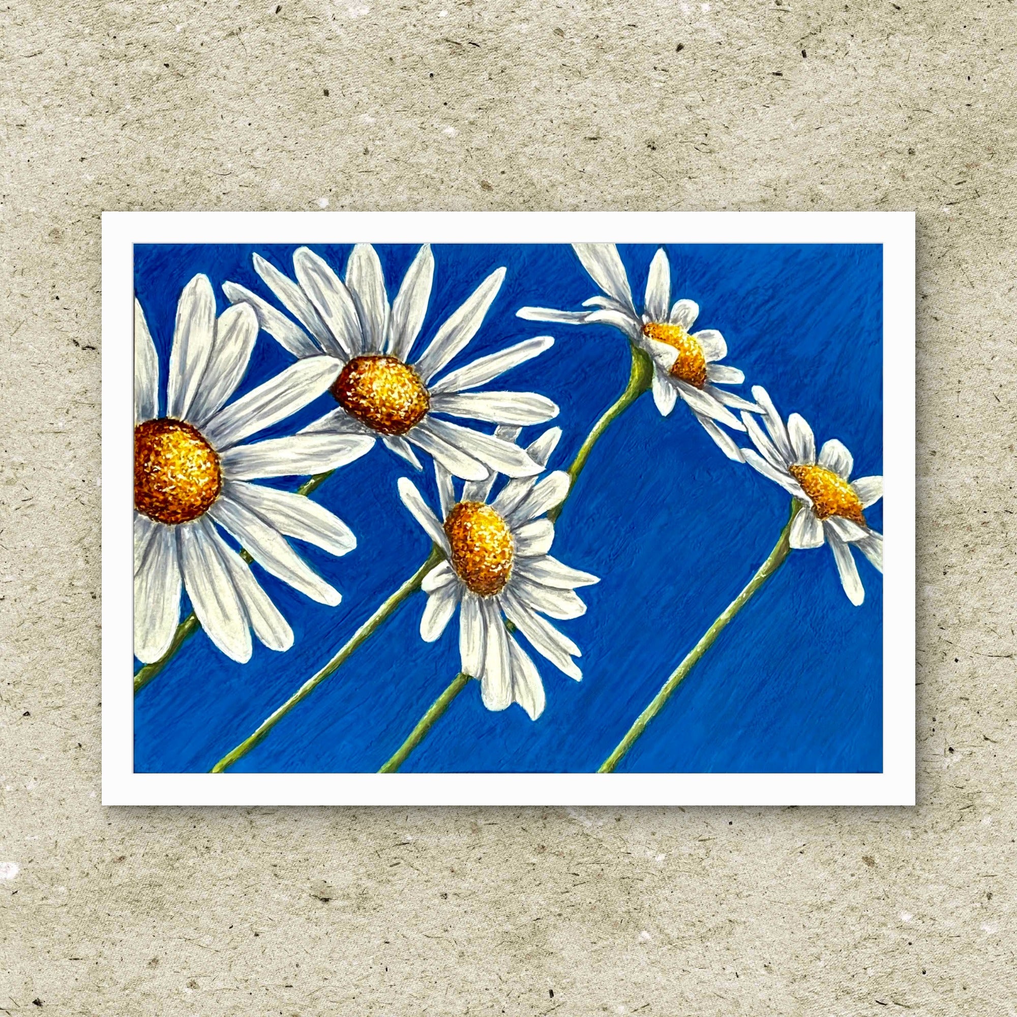 Fine Art paper print of white daisies with yellow centers on a blue background, painting by Kris Horton