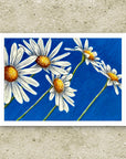 Fine Art paper print of white daisies with yellow centers on a blue background, painting by Kris Horton