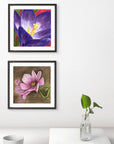 Violet and Crocus paintings by Kris Horton framed on a wall, the garden jewels mini print set