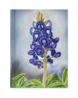Notebook cover with a painting of bluebonnet by Kris Horton 