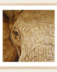 Framed sepia-toned artwork by Kris Horton of an elephant's eye.