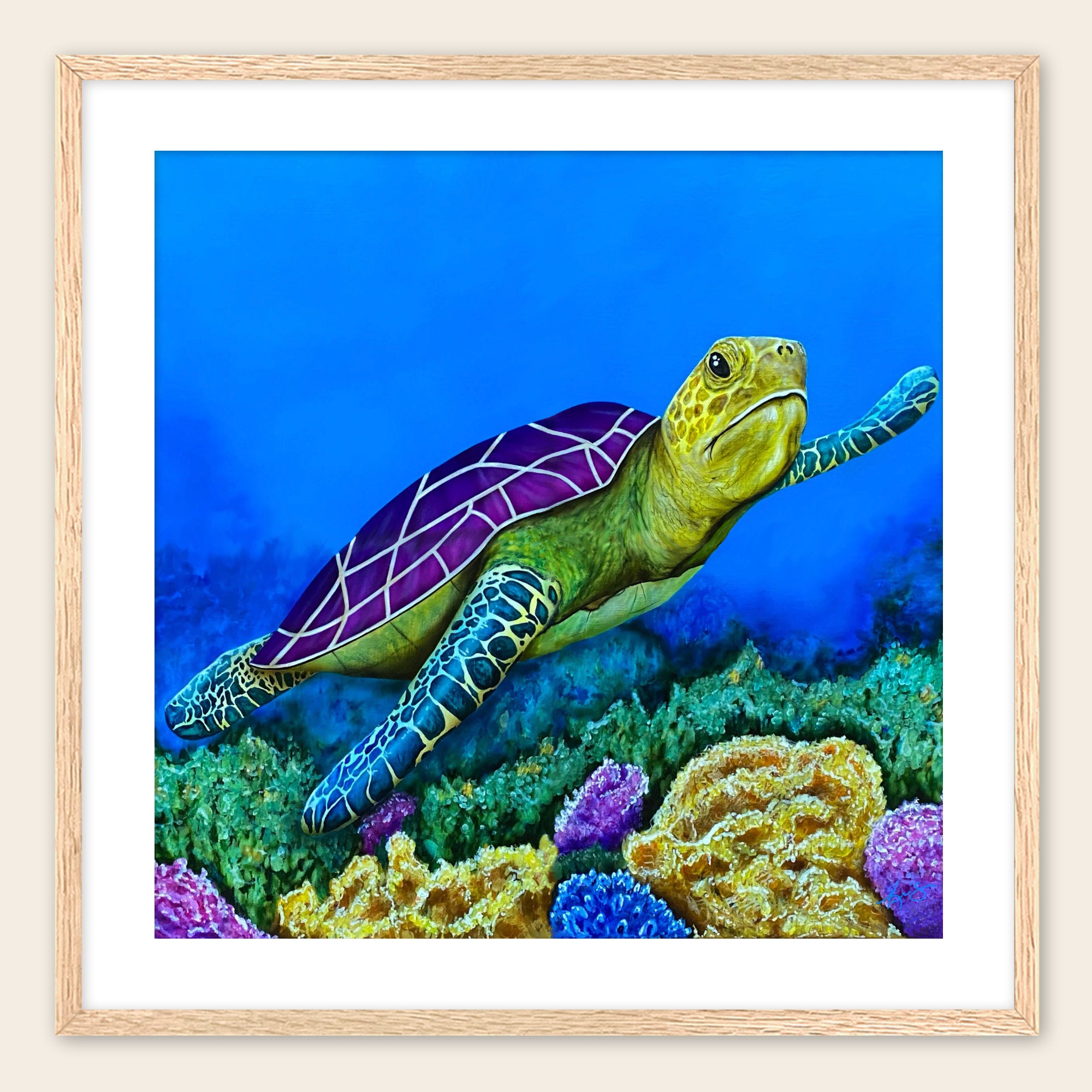 Framed artwork of a turtle with a purple shell swimming over coral