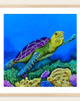 Framed artwork by Kris Horton of a turtle with a purple shell swimming over coral