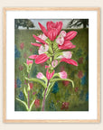 Framed painting by Kris Horton of an Indian Paintbrush flower.