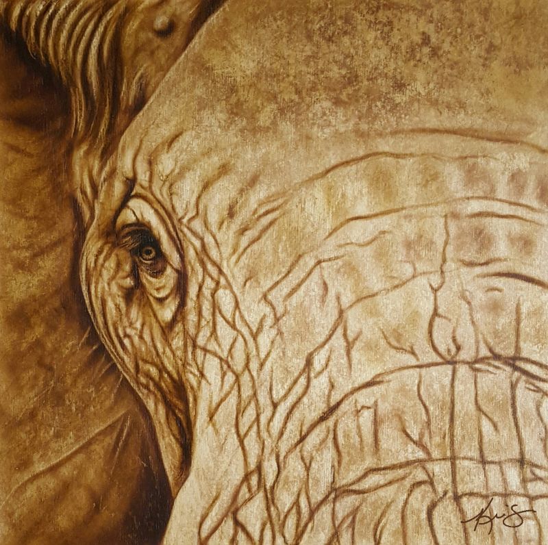 Sepia painting of a close-up of an elephant's eye and textured skin
