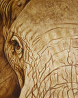 Sepia painting by Kris Horton of a close-up of an elephant's eye and textured skin