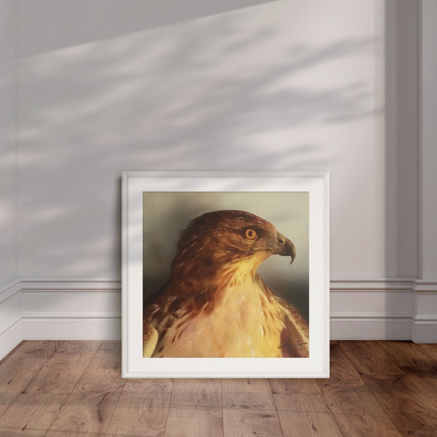 White framed painting by Kris Horton leaning against a wall of Watchful a close up of a red tail hawk.